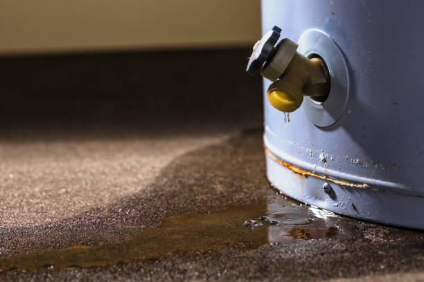 Best Water damage restoration insurance claims  in Marbury, AL