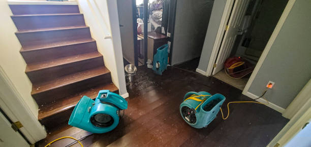 Best Sewage cleanup and water damage restoration  in Marbury, AL