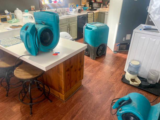 Water damage restoration insurance claims in Marbury, AL