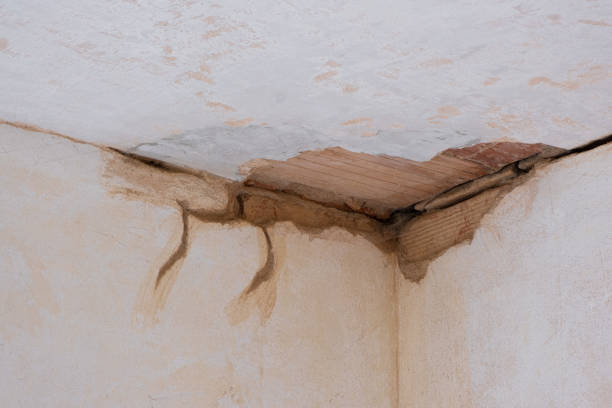 Best Carpet water damage restoration  in Marbury, AL