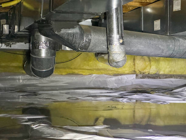 Best Professional water damage repair  in Marbury, AL