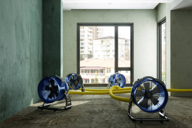 Best 24-hour water damage restoration  in Marbury, AL